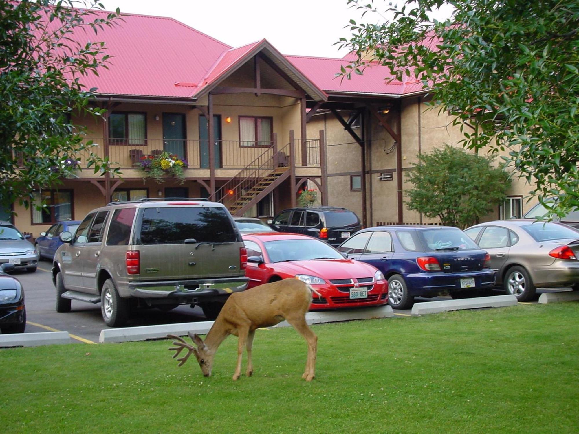 Aspen Village Waterton Park Kültér fotó